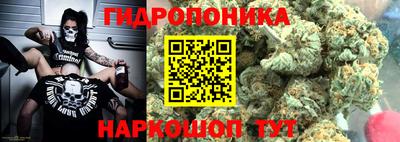 молекула духа Жуковский