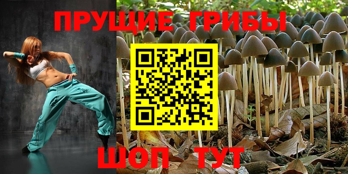 наркошоп  Вход с VPN  Псилоцибиновые грибы мухоморы  Моздок  Галлюциногенные грибы мухоморы 