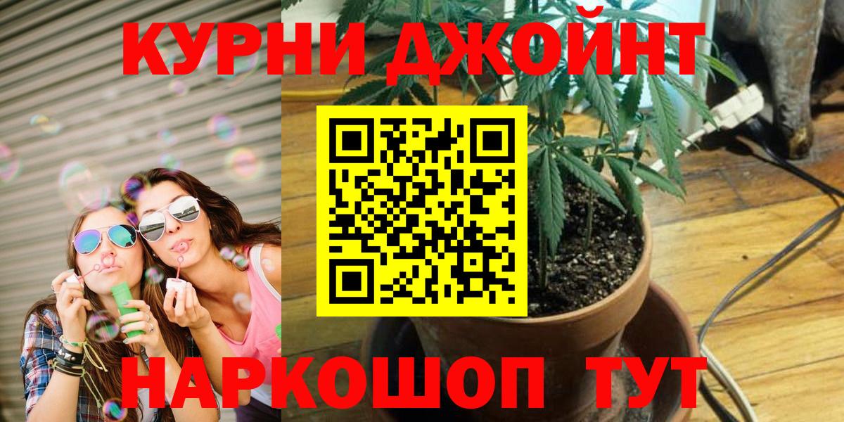 Конопля гибрид Моздок